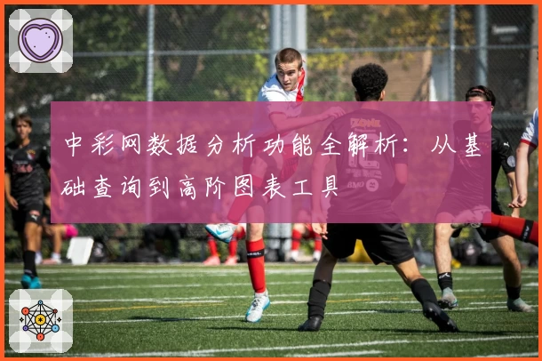 中彩网数据分析功能全解析：从基础查询到高阶图表工具