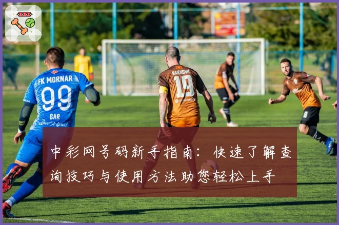 中彩网号码新手指南：快速了解查询技巧与使用方法助您轻松上手