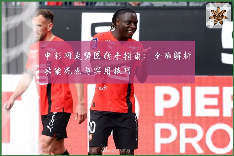 中彩网走势图新手指南：全面解析功能亮点与实用技巧