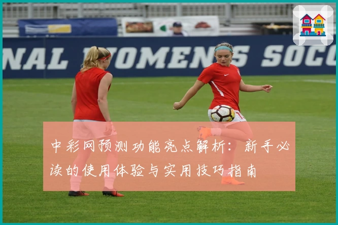中彩网预测功能亮点解析：新手必读的使用体验与实用技巧指南