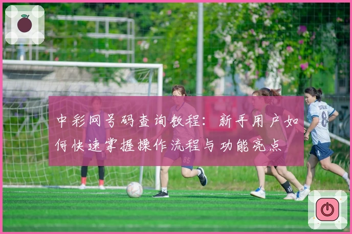 中彩网号码查询教程：新手用户如何快速掌握操作流程与功能亮点