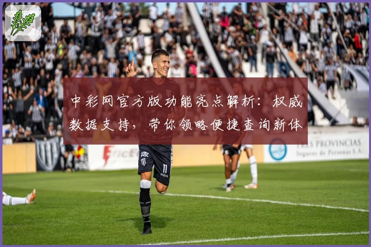 中彩网官方版功能亮点解析：权威数据支持，带你领略便捷查询新体验