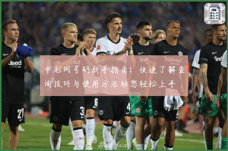 中彩网号码新手指南：快速了解查询技巧与使用方法助您轻松上手